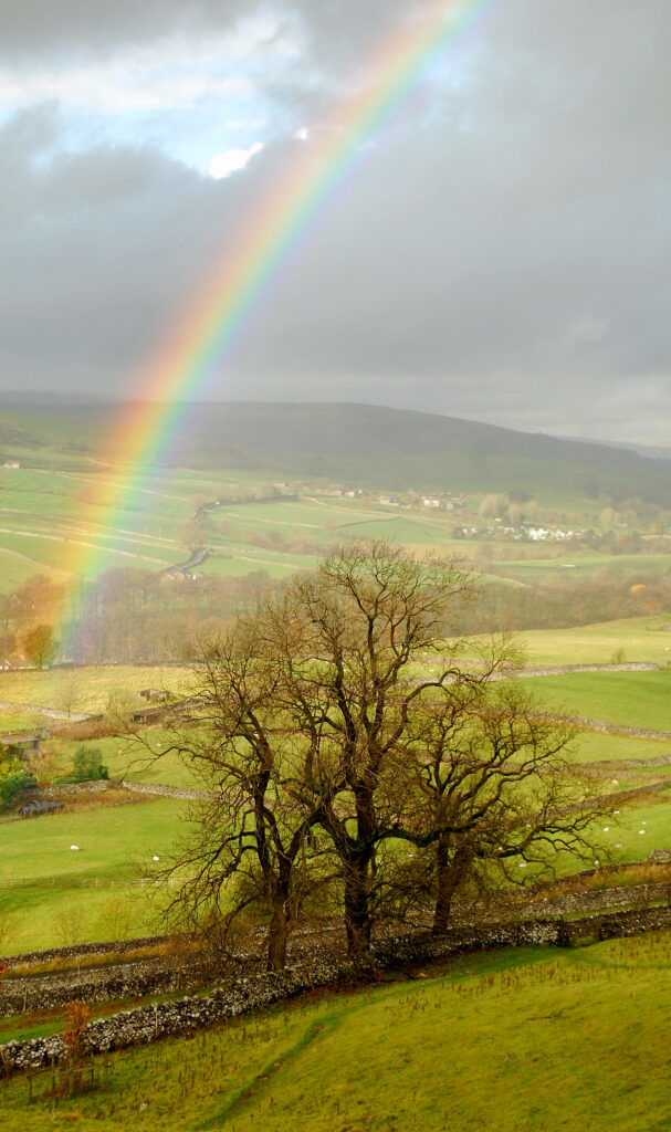 Ein Regenbogen spannt sich über einem wolkenverhangenen Himmel über einer ländlichen Landschaft mit wogenden grünen Feldern, kahlen Bäumen und einer Steinmauer, die zum stillen Nachdenken einlädt und zu Gedanken an die Philosophie der Natur anregt.