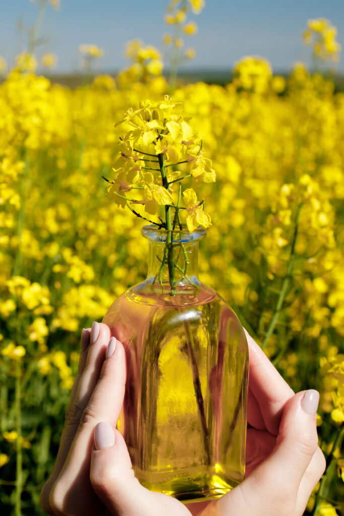 Eine Person hält eine mit gelbem Öl gefüllte Glasflasche und eine blühende gelbe Blume in der Hand und steht in einem gelben Blumenfeld unter einem klaren Himmel.