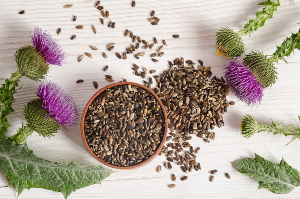 Eine Schale mit Mariendistelsamen ist von losen Samen umgeben, zusammen mit leuchtend violetten Mariendistelblüten und -blättern, die alle auf einer weißen Holzfläche angeordnet sind.